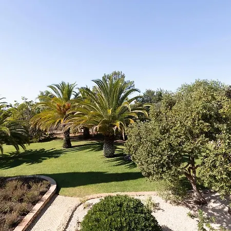 Palmeiras * Mexilhoeira Grande