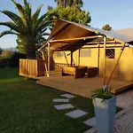 Apartamento Palmeiras *