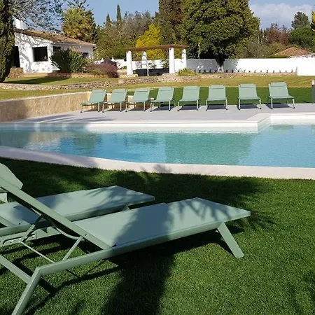 Apartment Palmeiras