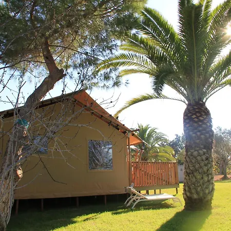 Apartment Palmeiras