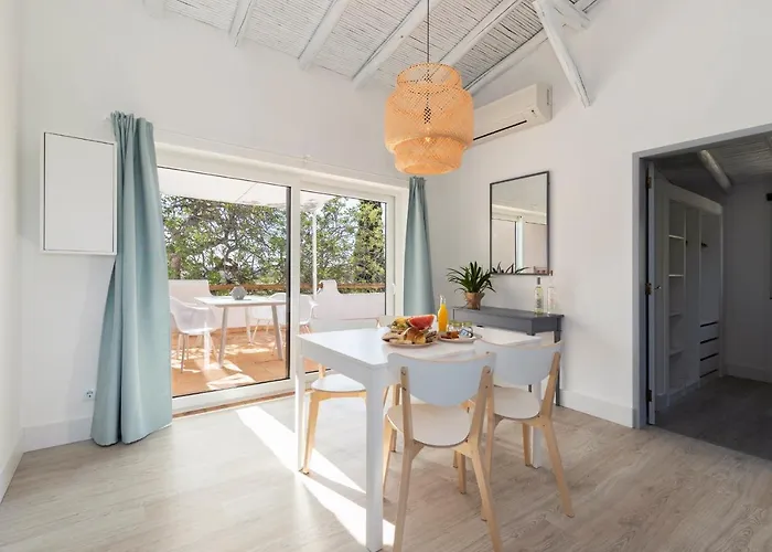 Palmeiras * Mexilhoeira Grande