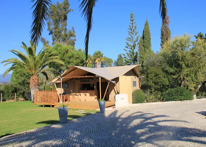 Apartamento Palmeiras